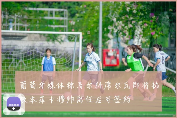 葡萄牙媒体称马尔科席尔瓦即将执教本菲卡穆帅离任后可签约